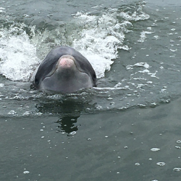 Meet your Posher, Mark - Picture 2 of 2